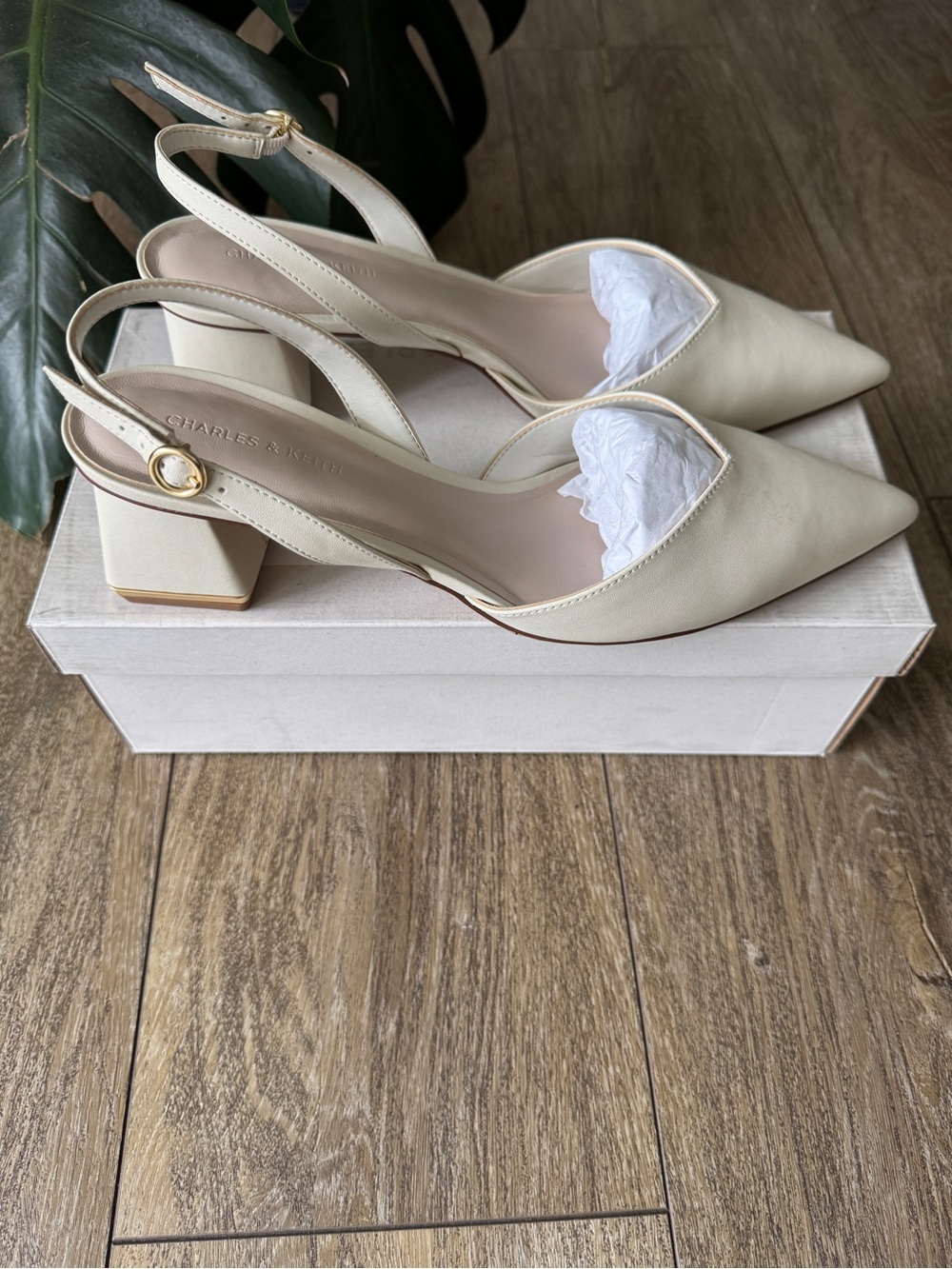 Charles & Keith Ivory Pointed Slingback Block Heels
